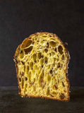Sourdough panettone and viennoiserie